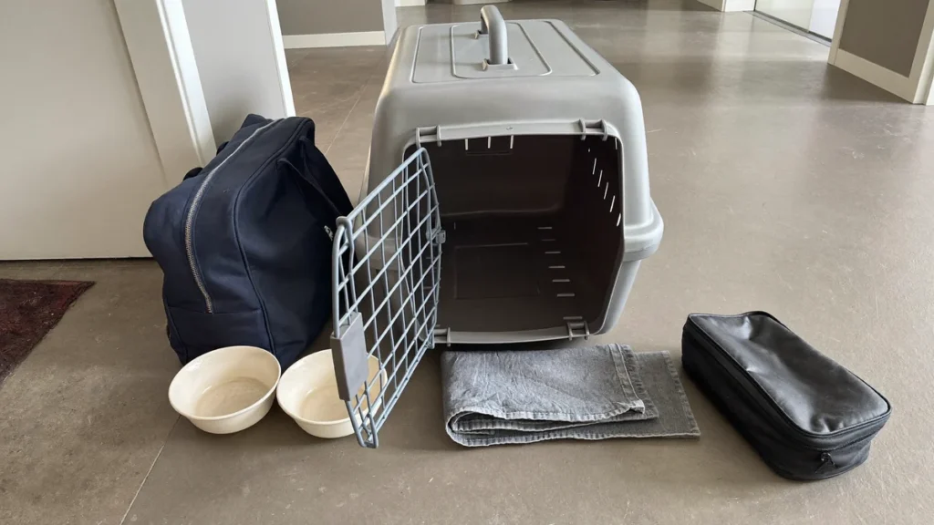 Cat carrier beside a supply bag, bowls, a folded blanket, and a closed pouch.
