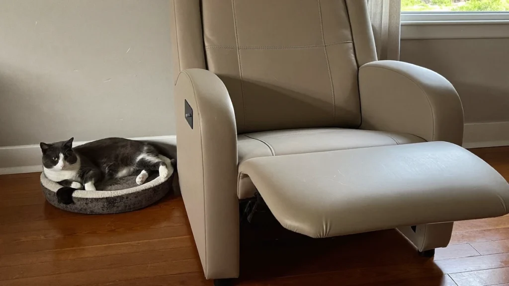 A gray-and-white cat rests in a round bed beside a beige recliner with its footrest extended.