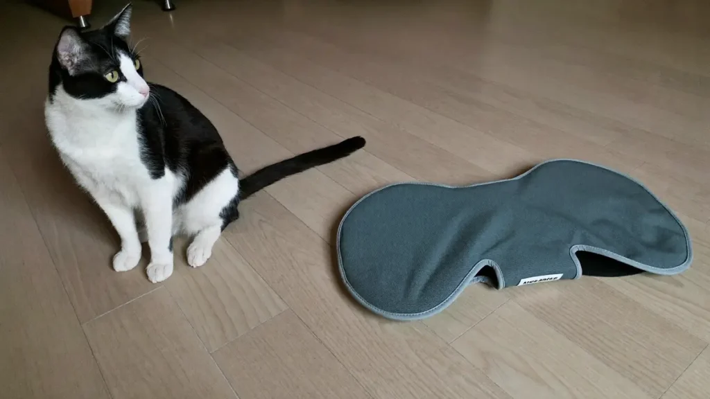 A black-and-white cat sitting on a pale wooden floor beside a flat grey fabric pad.