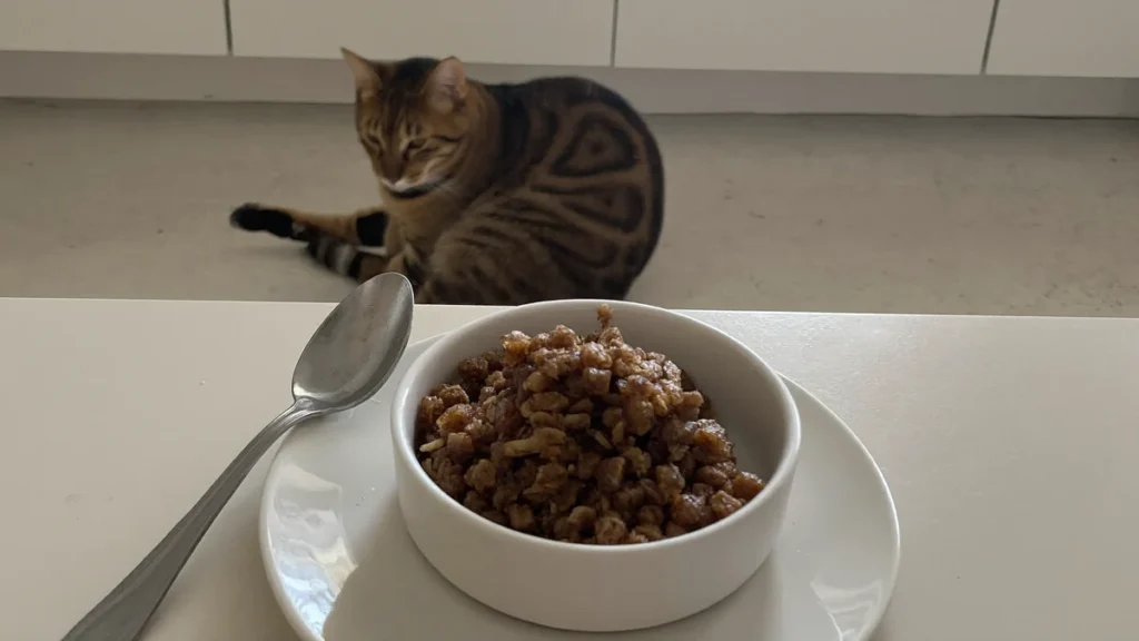 A bowl of chunky food on a kitchen counter with a tabby cat in the background.